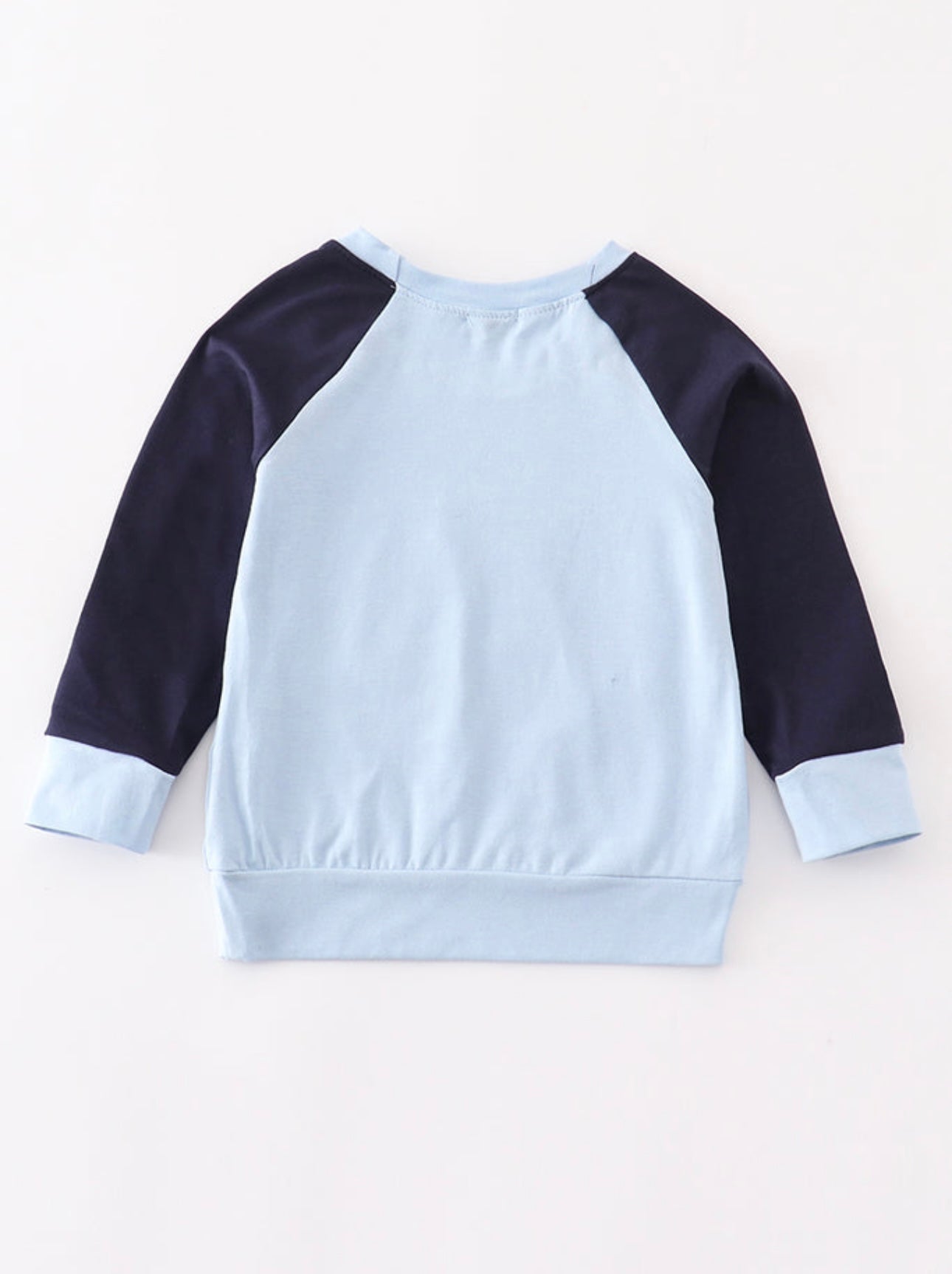 Blue Bluey Raglan Style Top