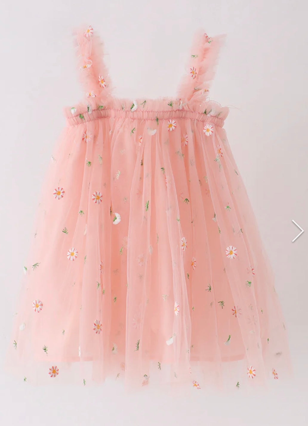 Daisy Embroidered Tulle Dress