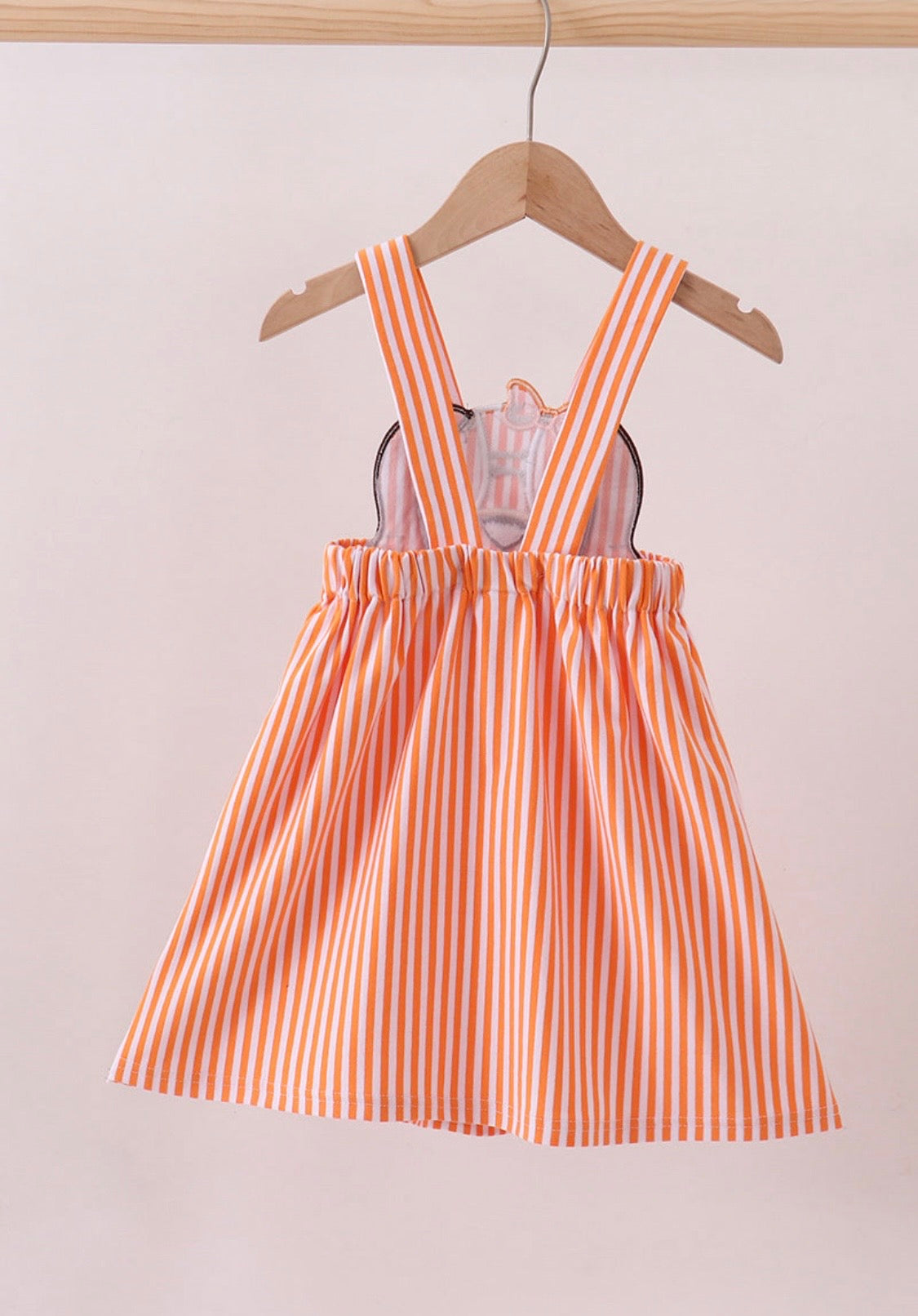 Tennessee Smokey Applique Dress