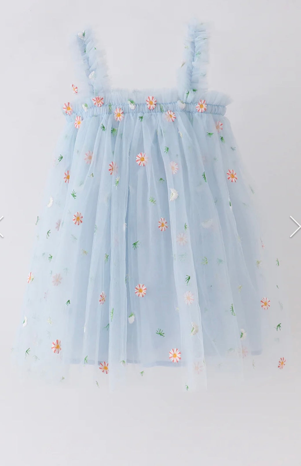 Daisy Embroidered Tulle Dress