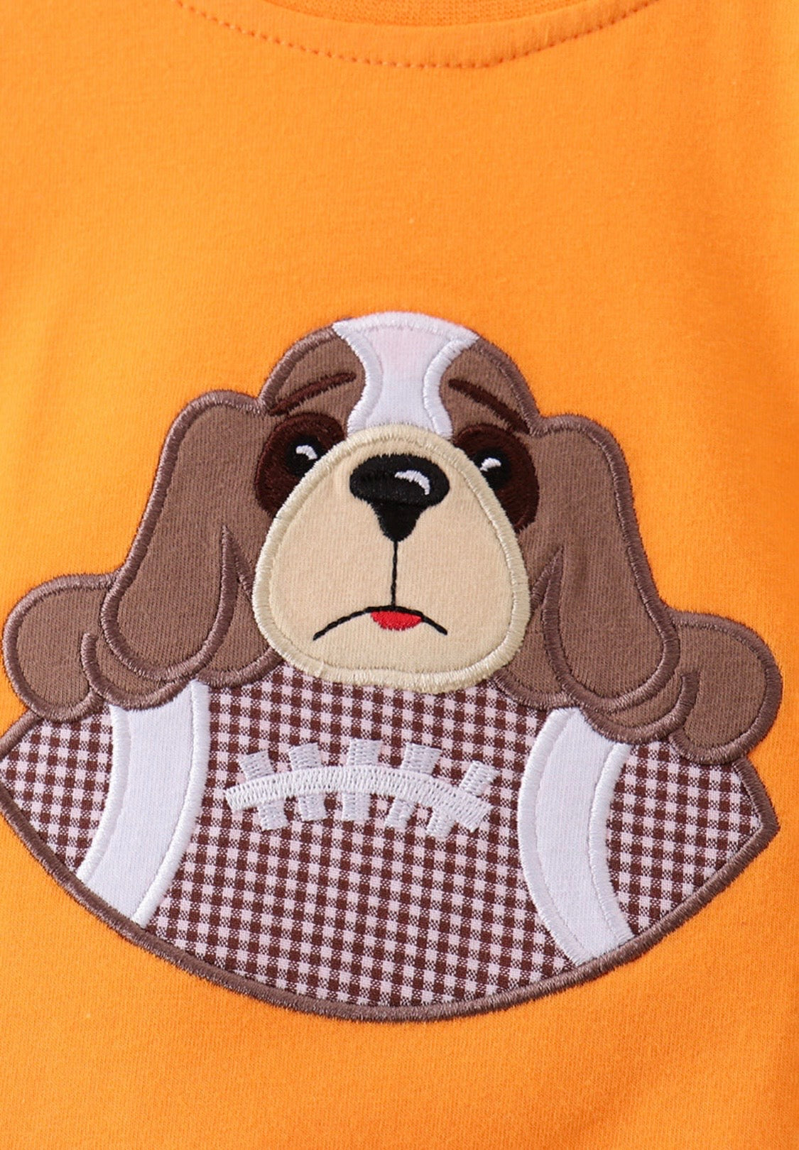 Orange Tennessee Smokey Applique Bubble