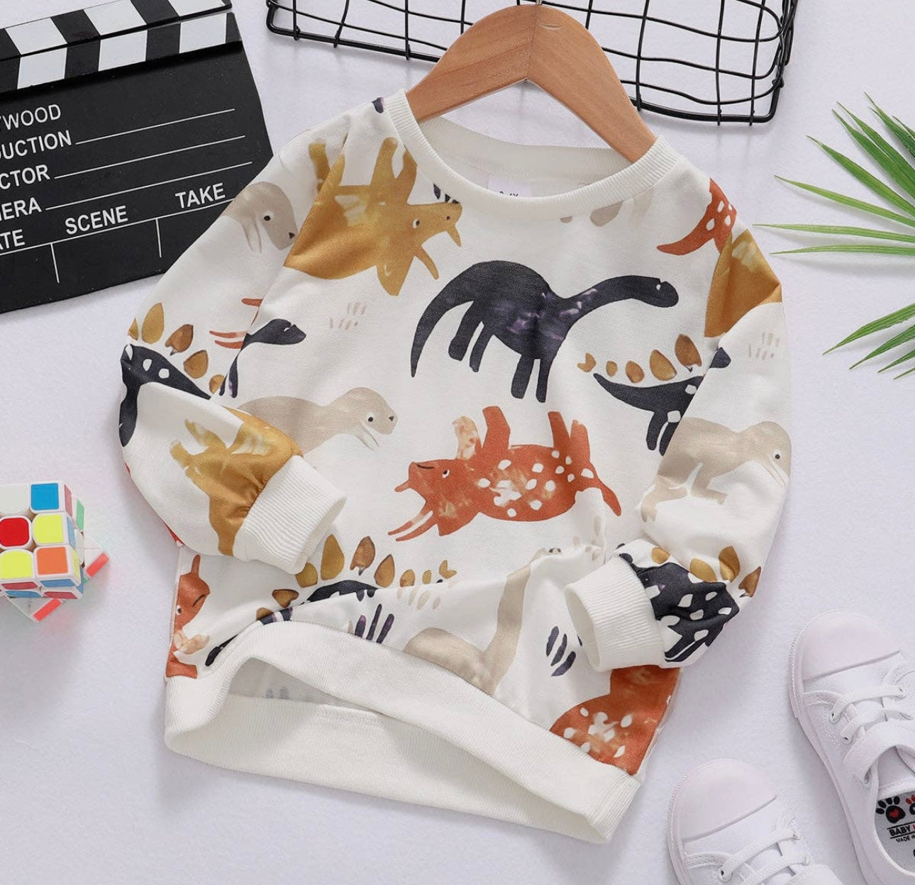 Boy Multicolored Dinosaur Sweatshirt