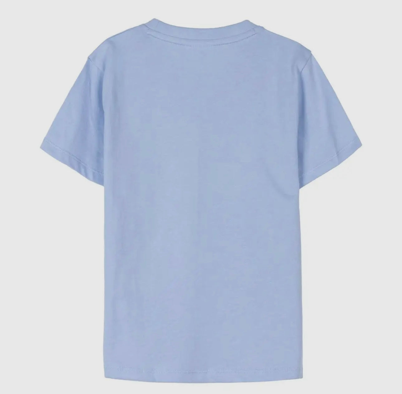 Bluey tshirt