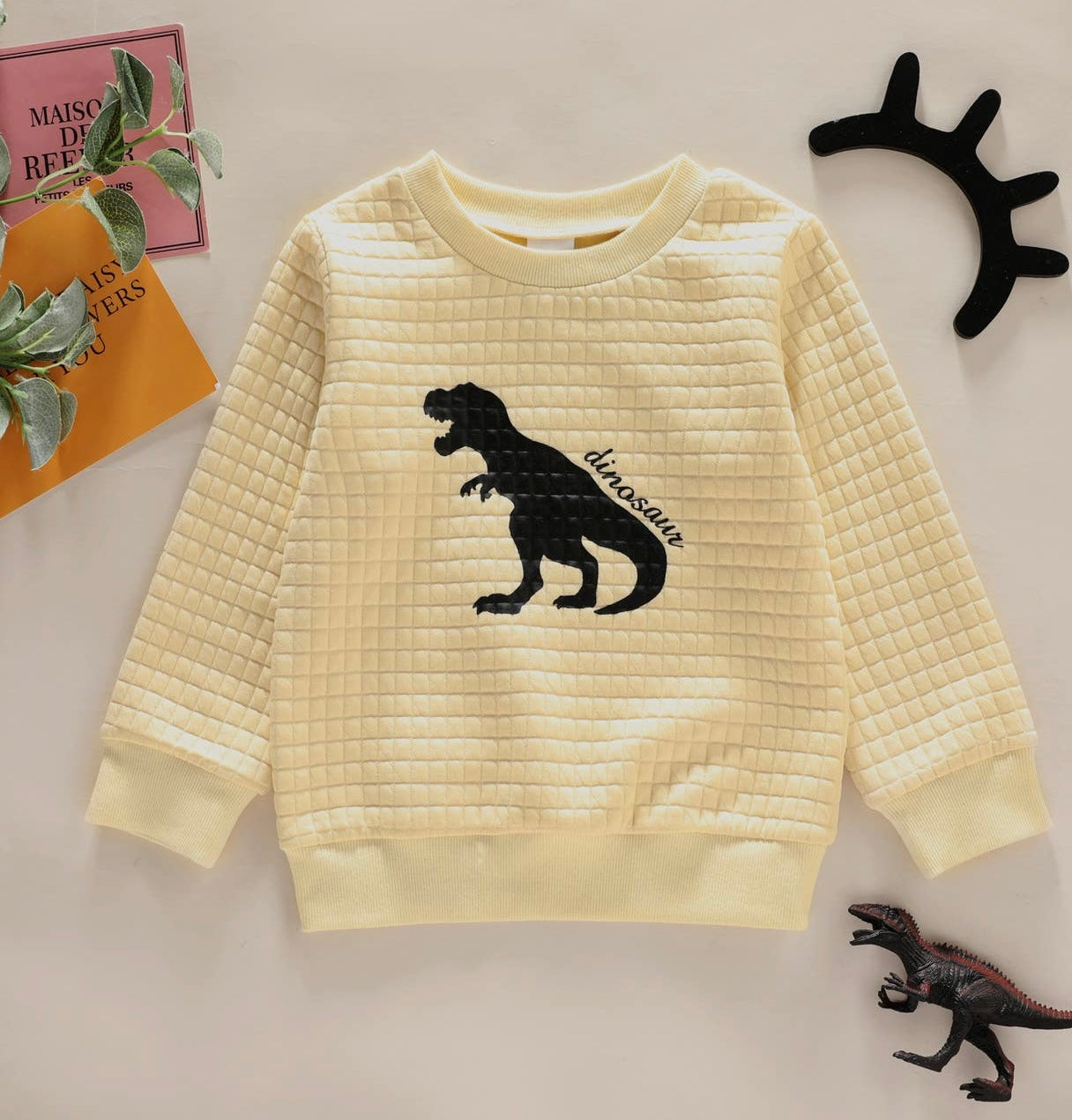 Dinosaur Textured Pullover Sweatshirt